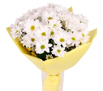 Ромашковый блюз