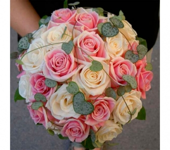 бриллиантовый