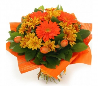 Океан твоих глаз...