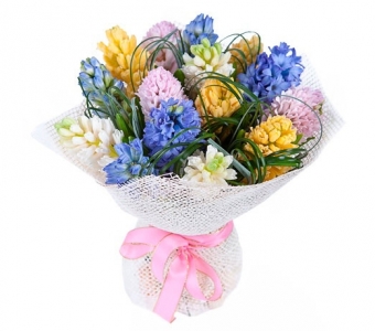 Бабушкин сад