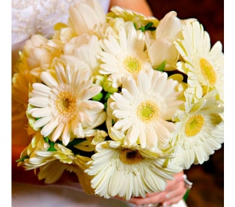 #19 светлый тон