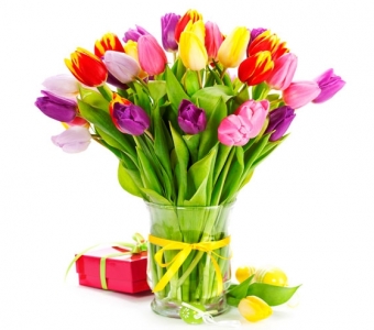 Солнечное настроение