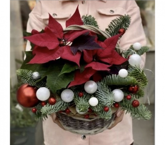 Яркие моменты