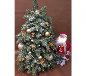 Запорошенная вьюгой