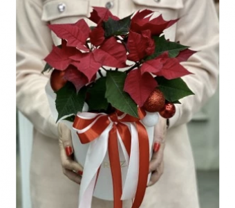 С Новым годом!