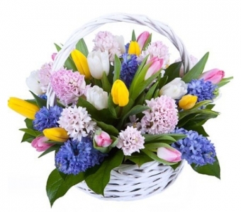 Маленькая страна